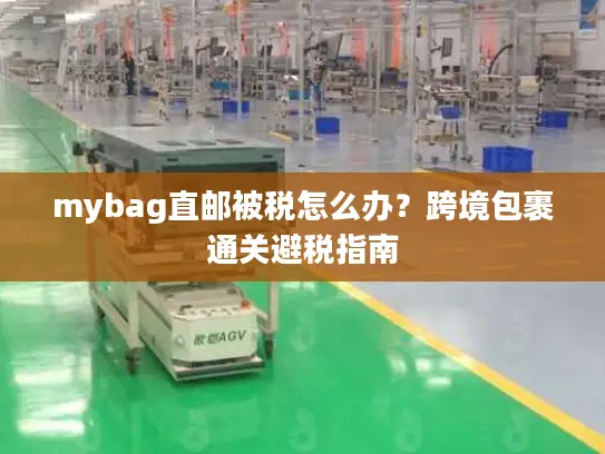 mybag直邮被税怎么办？跨境包裹通关避税指南