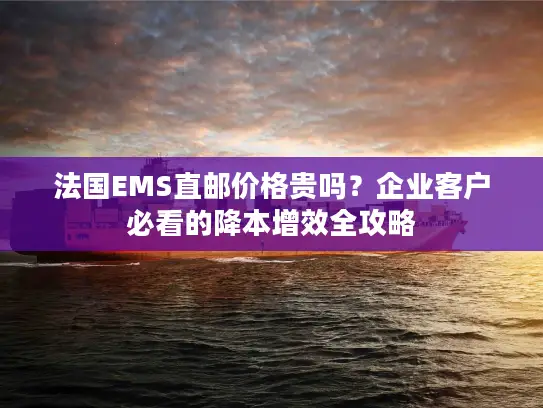 法国EMS直邮价格贵吗？企业客户必看的降本增效全攻略