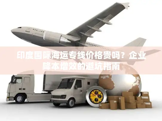 印度国际海运专线价格贵吗？企业降本增效的避坑指南