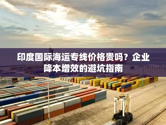 印度国际海运专线价格贵吗？企业降本增效的避坑指南