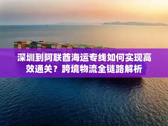 深圳到阿联酋海运专线如何实现高效通关？跨境物流全链路解析