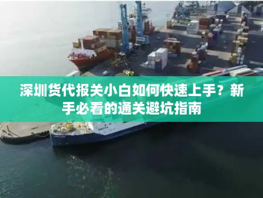 深圳货代报关小白如何快速上手？新手必看的通关避坑指南