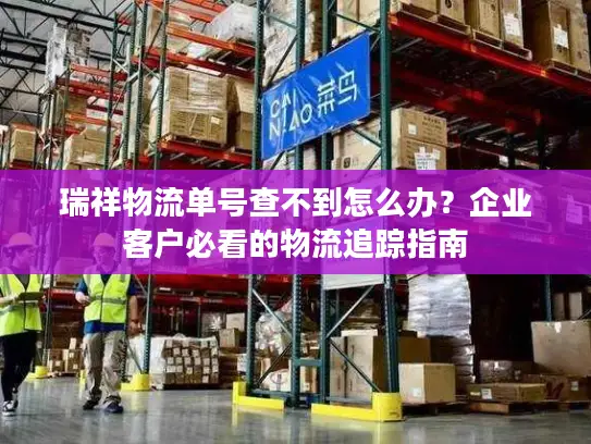 瑞祥物流单号查不到怎么办？企业客户必看的物流追踪指南