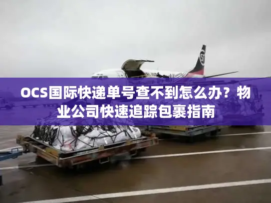 OCS国际快递单号查不到怎么办？物业公司快速追踪包裹指南