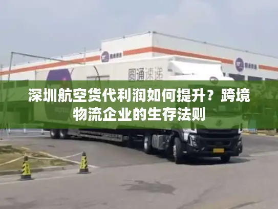 深圳航空货代利润如何提升？跨境物流企业的生存法则