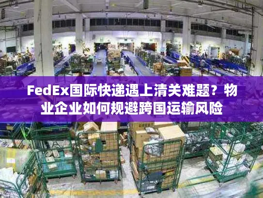 FedEx国际快递遇上清关难题？物业企业如何规避跨国运输风险