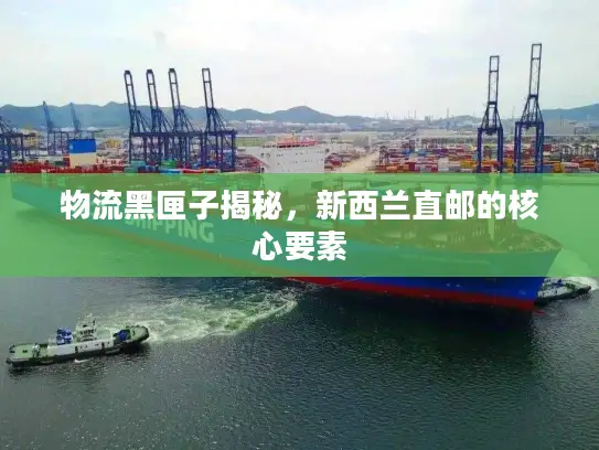 物流黑匣子揭秘，新西兰直邮的核心要素