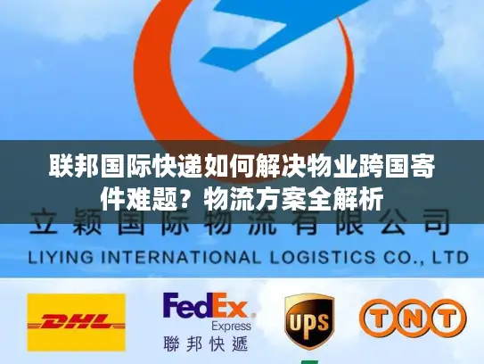 联邦国际快递如何解决物业跨国寄件难题？物流方案全解析