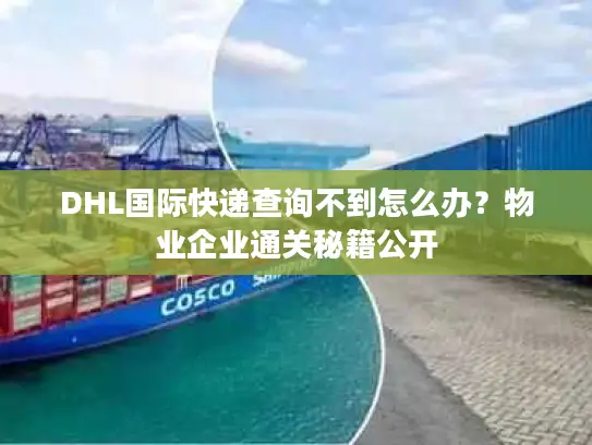 DHL国际快递查询不到怎么办？物业企业通关秘籍公开