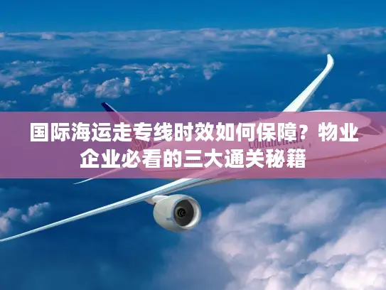 国际海运走专线时效如何保障？物业企业必看的三大通关秘籍