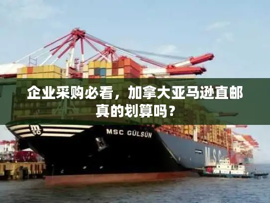 企业采购必看，加拿大亚马逊直邮真的划算吗？