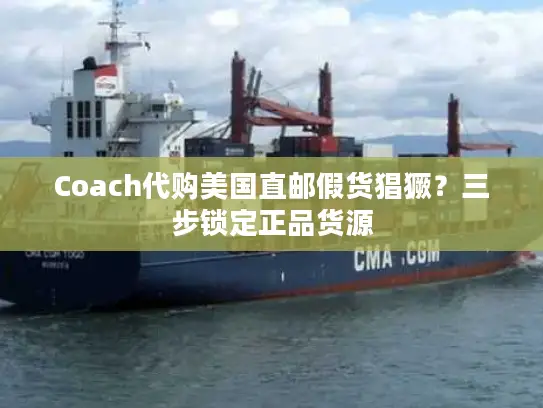 Coach代购美国直邮假货猖獗？三步锁定正品货源