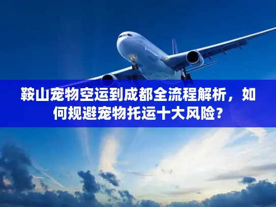 鞍山宠物空运到成都全流程解析，如何规避宠物托运十大风险？