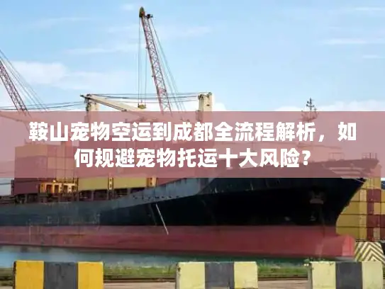 鞍山宠物空运到成都全流程解析，如何规避宠物托运十大风险？