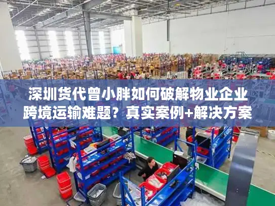 深圳货代曾小胖如何破解物业企业跨境运输难题？真实案例+解决方案
