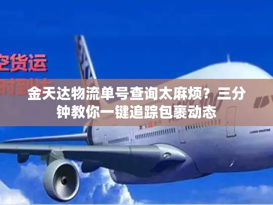 金天达物流单号查询太麻烦？三分钟教你一键追踪包裹动态