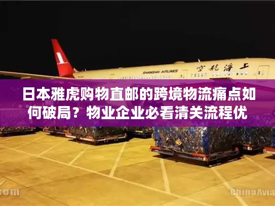 日本雅虎购物直邮的跨境物流痛点如何破局？物业企业必看清关流程优化指南