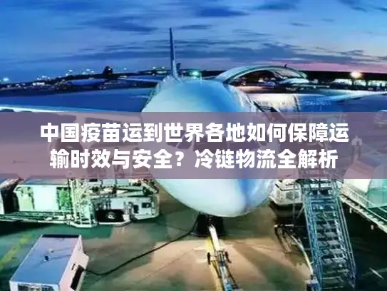 中国疫苗运到世界各地如何保障运输时效与安全？冷链物流全解析