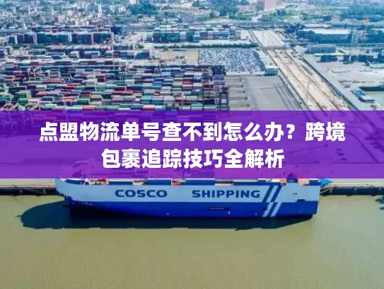 点盟物流单号查不到怎么办？跨境包裹追踪技巧全解析