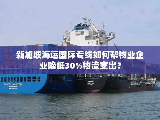 新加坡海运国际专线如何帮物业企业降低30%物流支出？