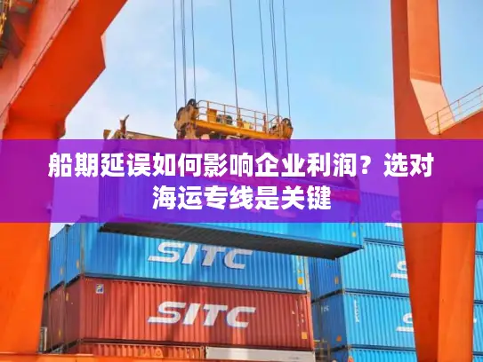 船期延误如何影响企业利润？选对海运专线是关键