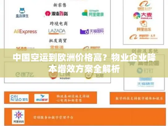 中国空运到欧洲价格高？物业企业降本增效方案全解析