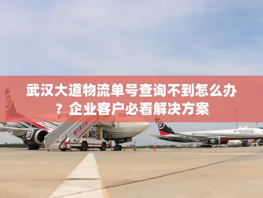 武汉大道物流单号查询不到怎么办？企业客户必看解决方案