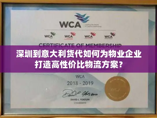 深圳到意大利货代如何为物业企业打造高性价比物流方案？