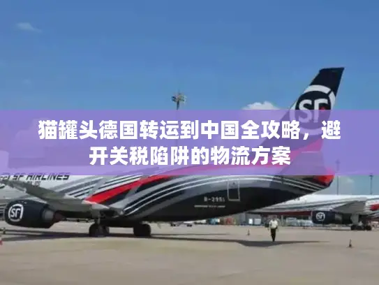 猫罐头德国转运到中国全攻略，避开关税陷阱的物流方案