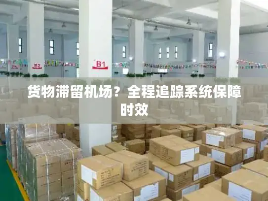 货物滞留机场？全程追踪系统保障时效