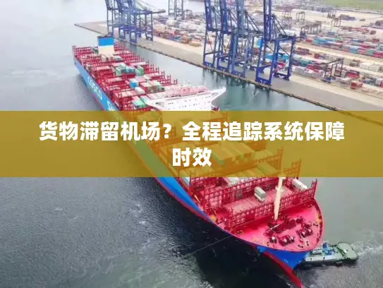 货物滞留机场？全程追踪系统保障时效