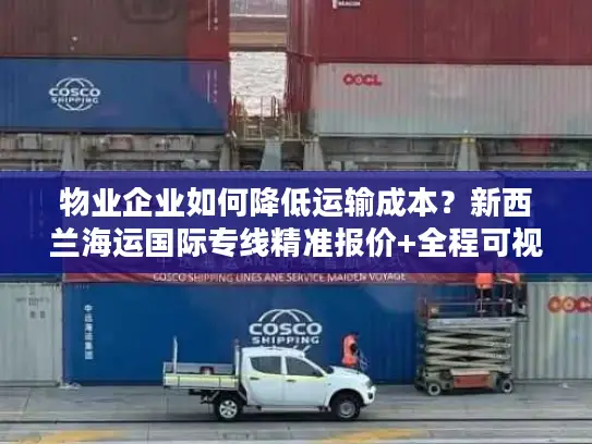 物业企业如何降低运输成本？新西兰海运国际专线精准报价+全程可视化方案解析