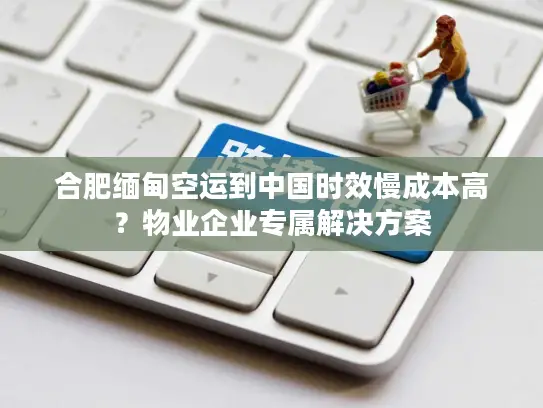 合肥缅甸空运到中国时效慢成本高？物业企业专属解决方案