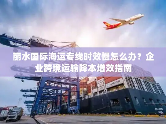 丽水国际海运专线时效慢怎么办？企业跨境运输降本增效指南