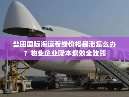 盐田国际海运专线价格暴涨怎么办？物业企业降本增效全攻略