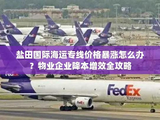 盐田国际海运专线价格暴涨怎么办？物业企业降本增效全攻略