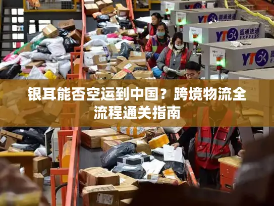 银耳能否空运到中国？跨境物流全流程通关指南