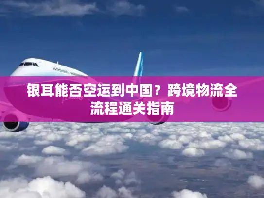 银耳能否空运到中国？跨境物流全流程通关指南