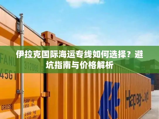 伊拉克国际海运专线如何选择？避坑指南与价格解析