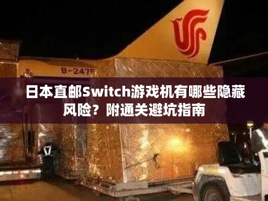 日本直邮Switch游戏机有哪些隐藏风险？附通关避坑指南
