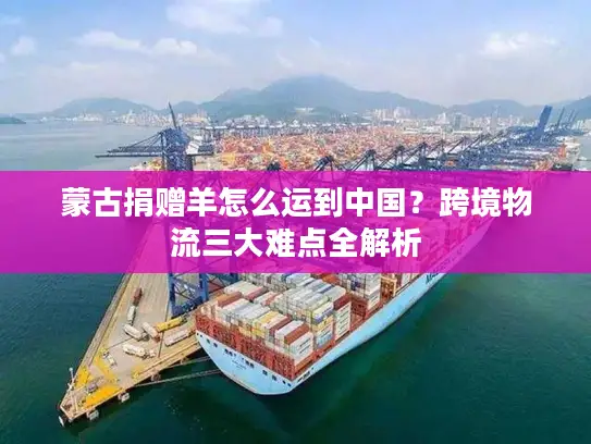 蒙古捐赠羊怎么运到中国？跨境物流三大难点全解析