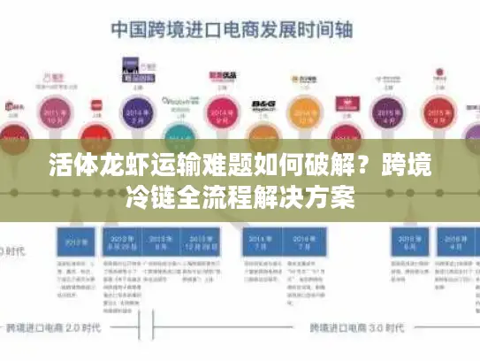 活体龙虾运输难题如何破解？跨境冷链全流程解决方案