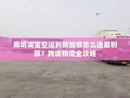 廊坊淘宝空运到新加坡怎么选最划算？跨境物流全攻略