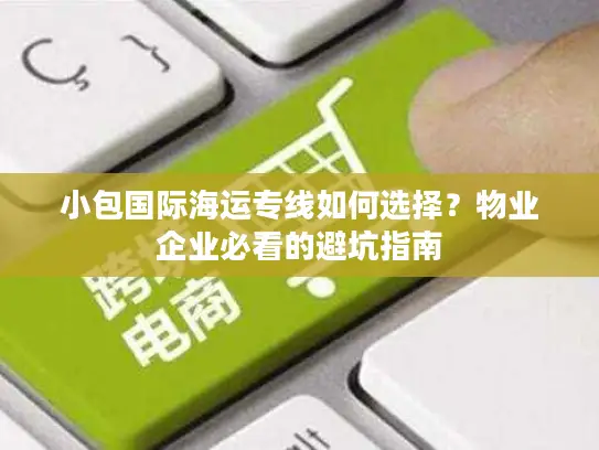 小包国际海运专线如何选择？物业企业必看的避坑指南