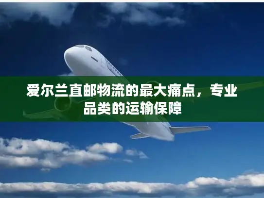 爱尔兰直邮物流的最大痛点，专业品类的运输保障