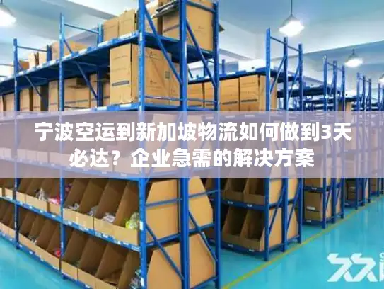 宁波空运到新加坡物流如何做到3天必达？企业急需的解决方案