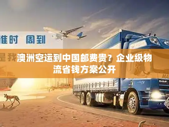澳洲空运到中国邮费贵？企业级物流省钱方案公开