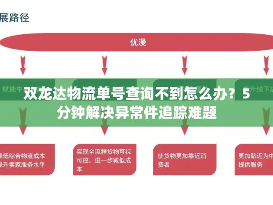 双龙达物流单号查询不到怎么办？5分钟解决异常件追踪难题