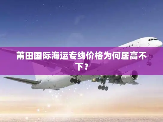 莆田国际海运专线价格为何居高不下？