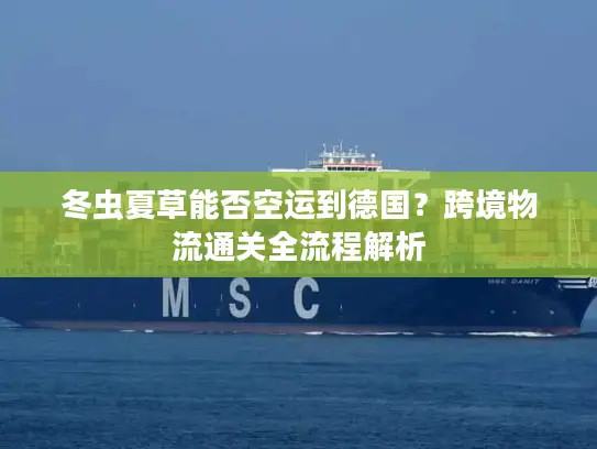 冬虫夏草能否空运到德国？跨境物流通关全流程解析